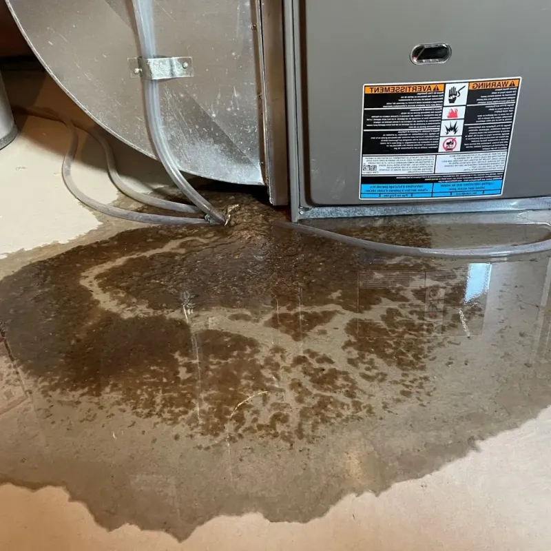 Pipe Burst and Leak Restoration in Lawrenceburg, KY