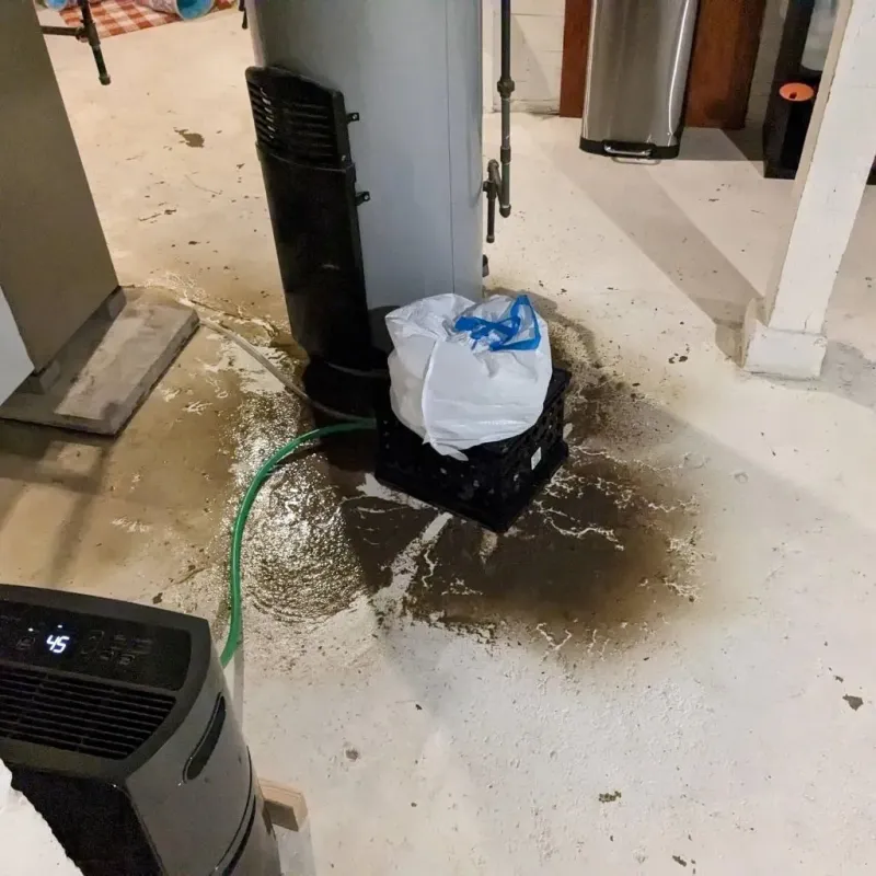Sewage Backup Cleanup Service in Lawrenceburg, KY